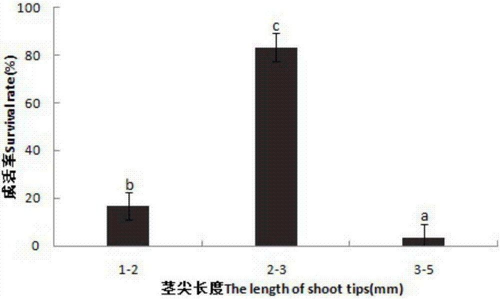 Ultra-low temperature storage method for shoot tips of euonymus bungeanus