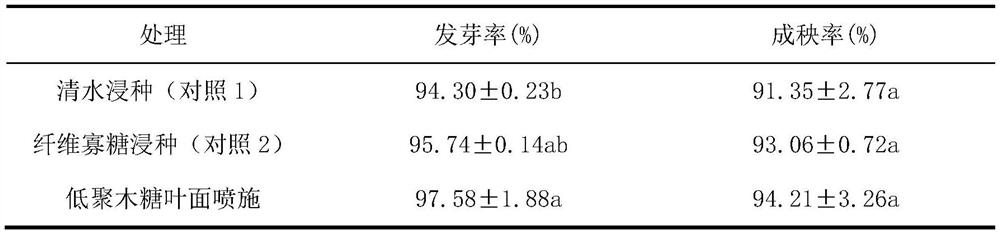 Seedling raising method for rapidly improving cold resistance of mechanized transplanted seedlings