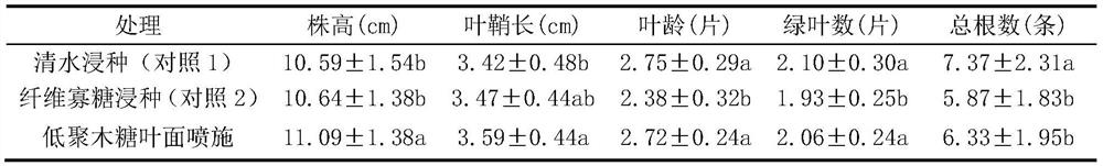 Seedling raising method for rapidly improving cold resistance of mechanized transplanted seedlings