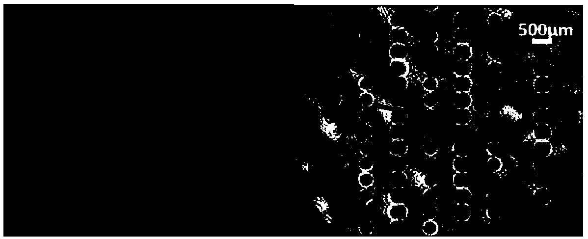 Refined measurement method for solid propellant aluminum agglomerated particles