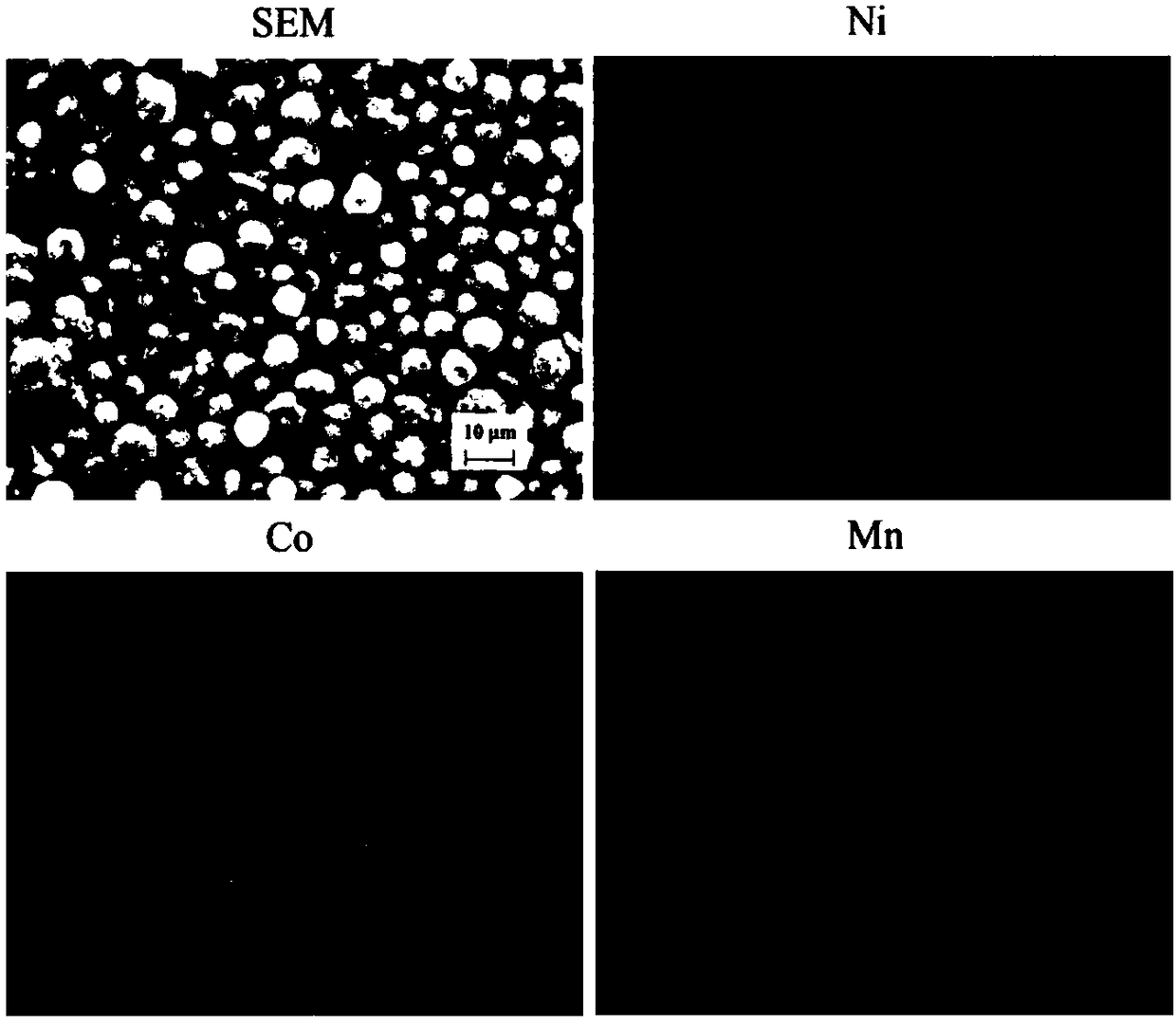 Preparation device and method for ternary material precursor