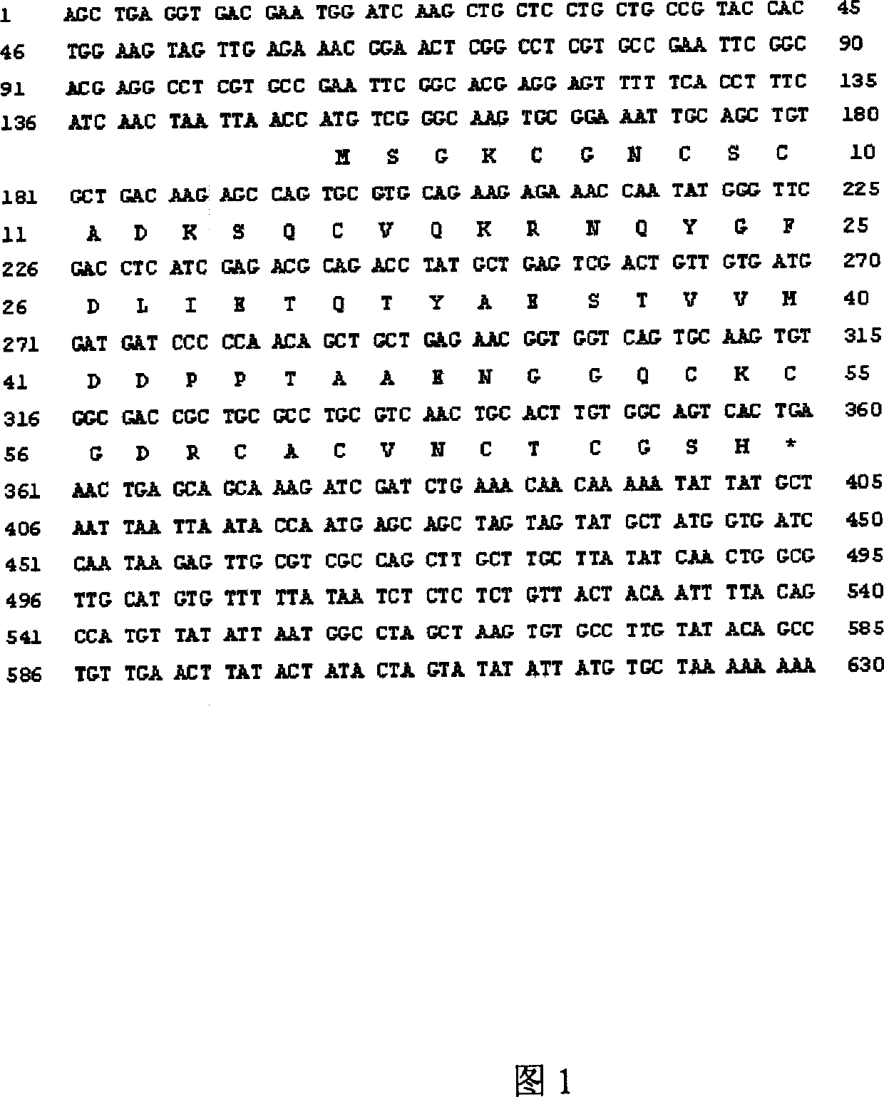 Metallothionein-like protein gene of Tamarix androssowii Litw.