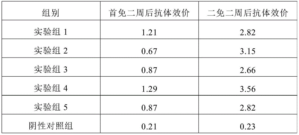 Immunopotentiator and preparation method and application thereof