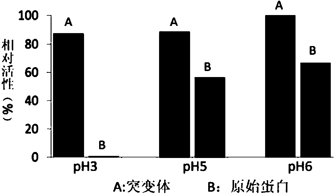 Recombined alkaline pectinase with high pH stability and specific enzyme activity and construction method thereof