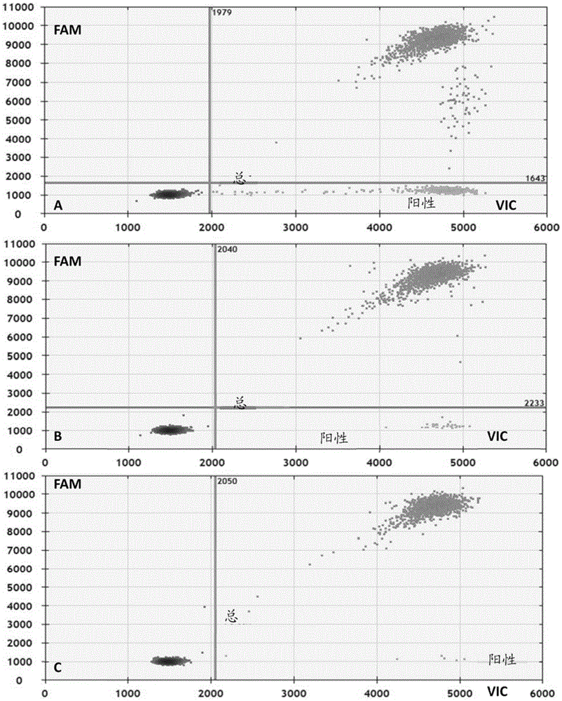 Primer, probe and kit for detecting EGFR and/or K-ras genetic mutation