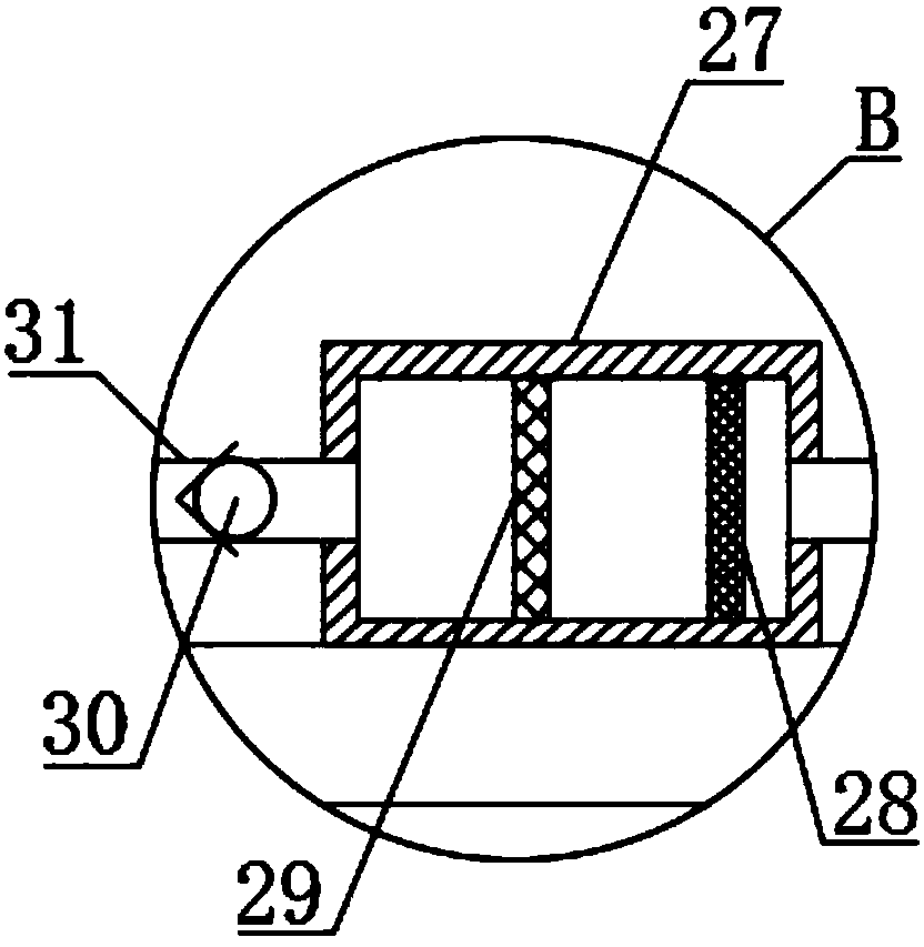 Efficient water chestnut cleaning device