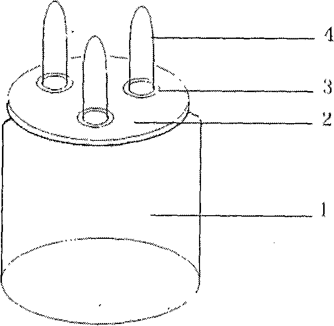 Method for cultivating and collecting Bursaphelenchus nematodes and device thereof