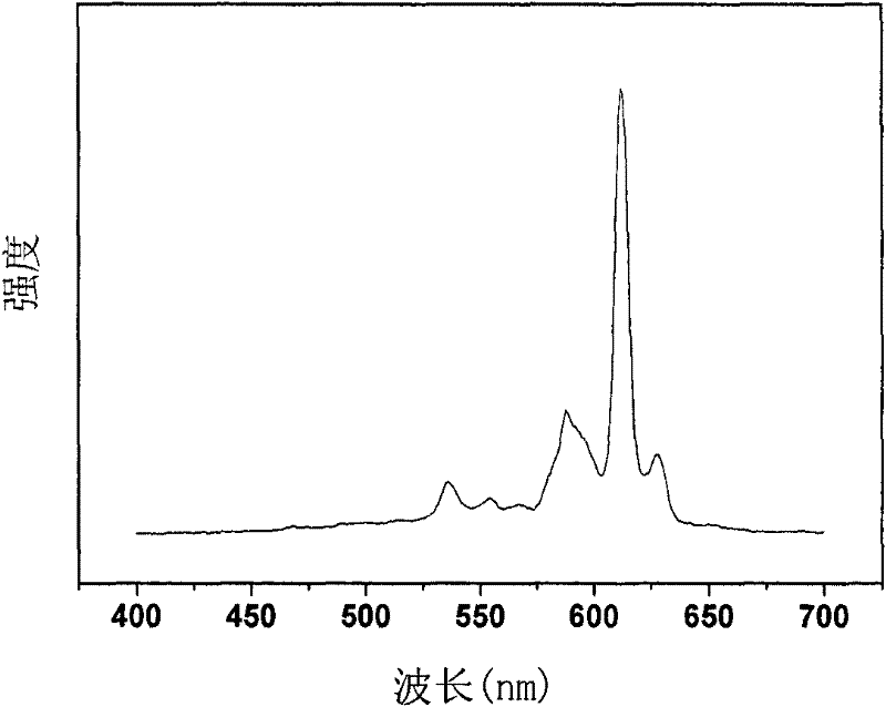 Fluorescent material with core-shell structure and preparation method thereof