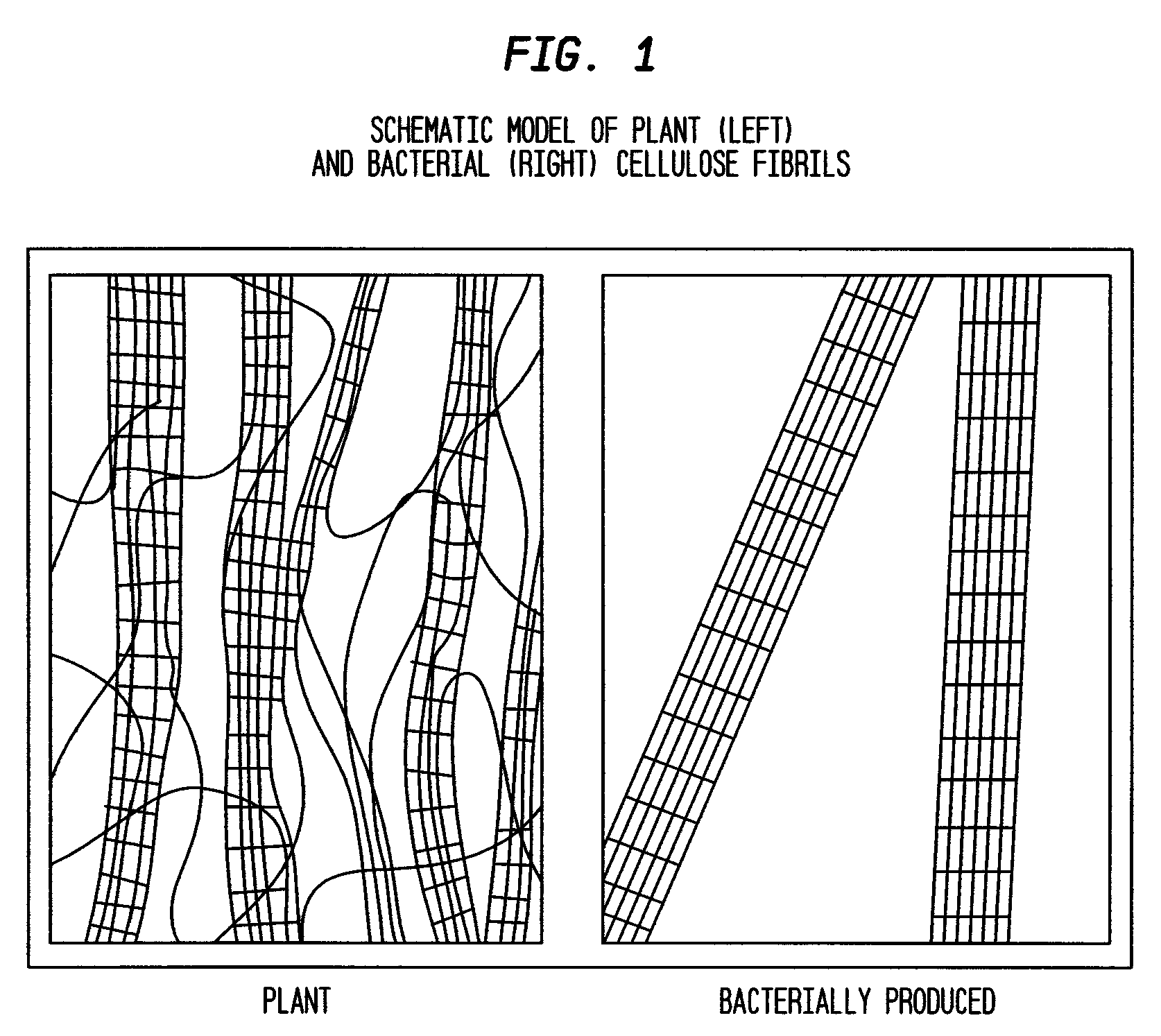 Liquid cleansing compositions comprising microfibrous cellulose suspending polymers