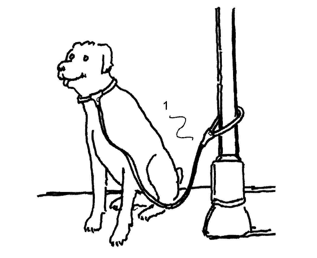 Locking pet lead system comprising a leash and collar to prevent the theft of pets