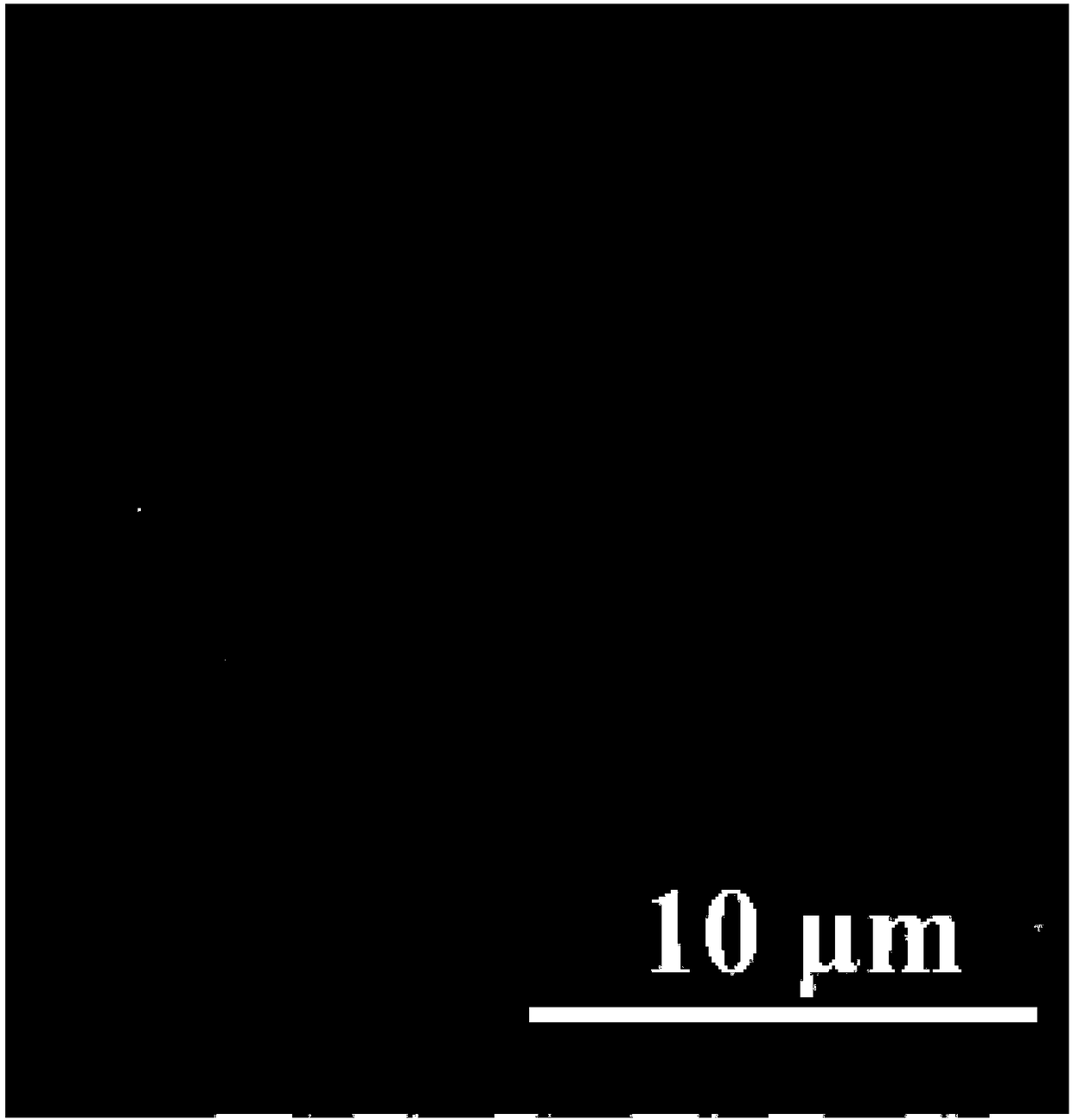 Method for preparing Cu-doped indium-oxide nanowire based on regulable porous silicon substrate