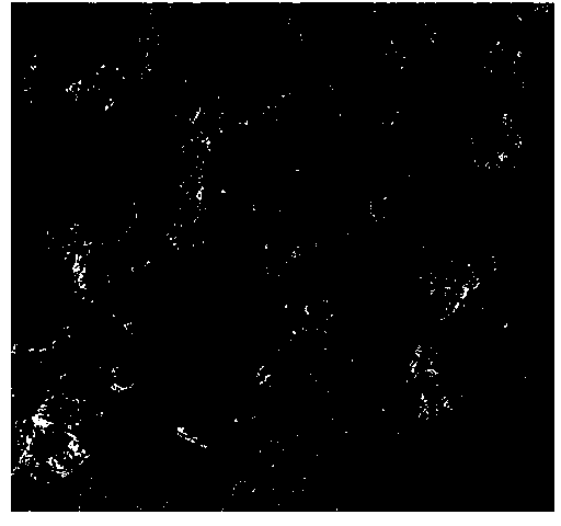 Low-porosity high-freezing-resistance gelatinizer and preparation method thereof