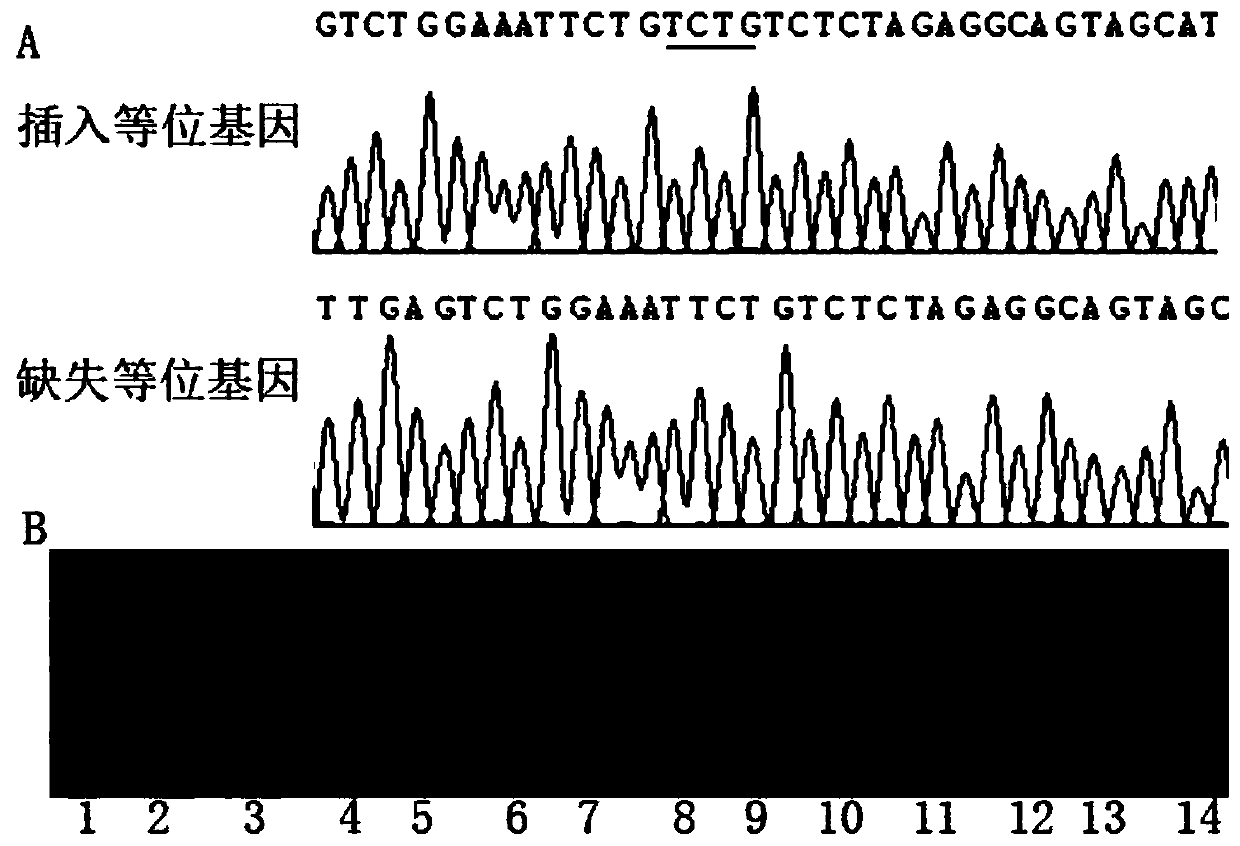 Kit for predicting susceptibility to sudden cardiac death