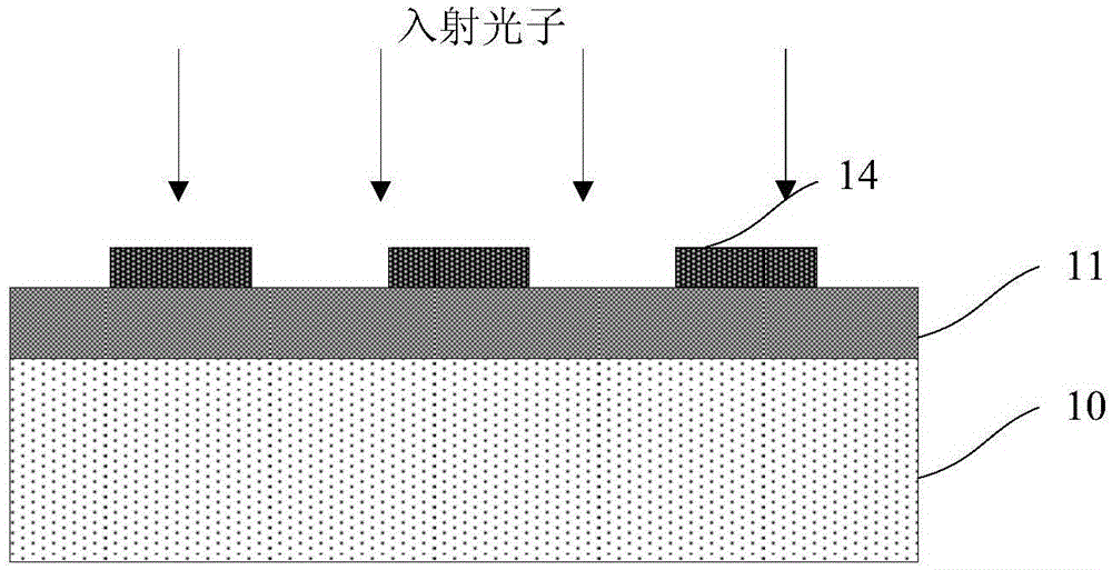 Superconducting nanowire single photo detector for suppressing polarization sensitivity