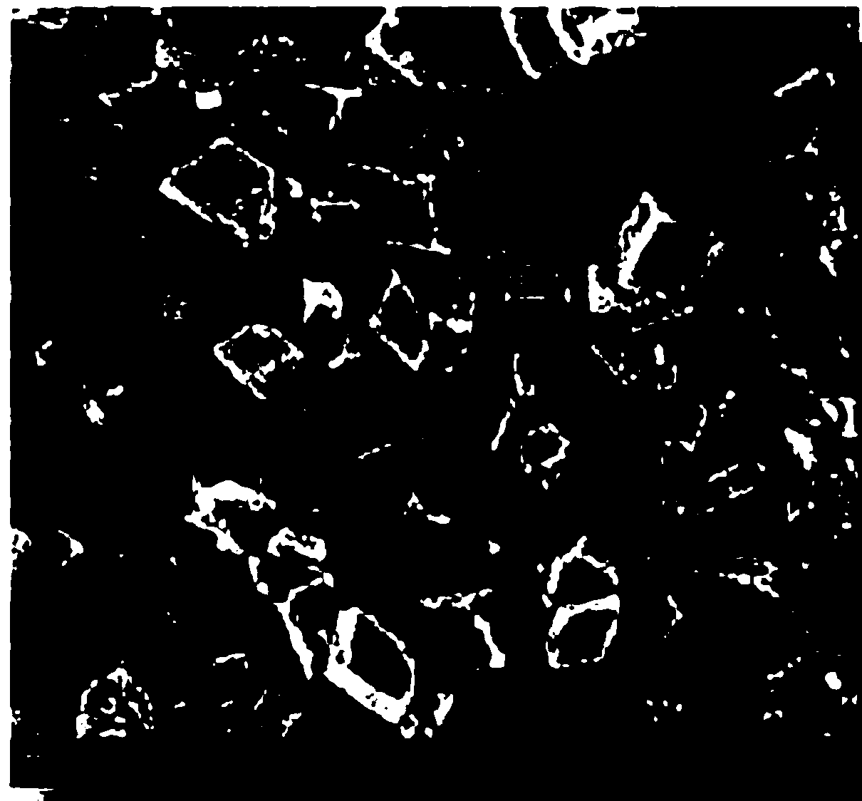 Thermoplastic resin composition and preparation method and application thereof