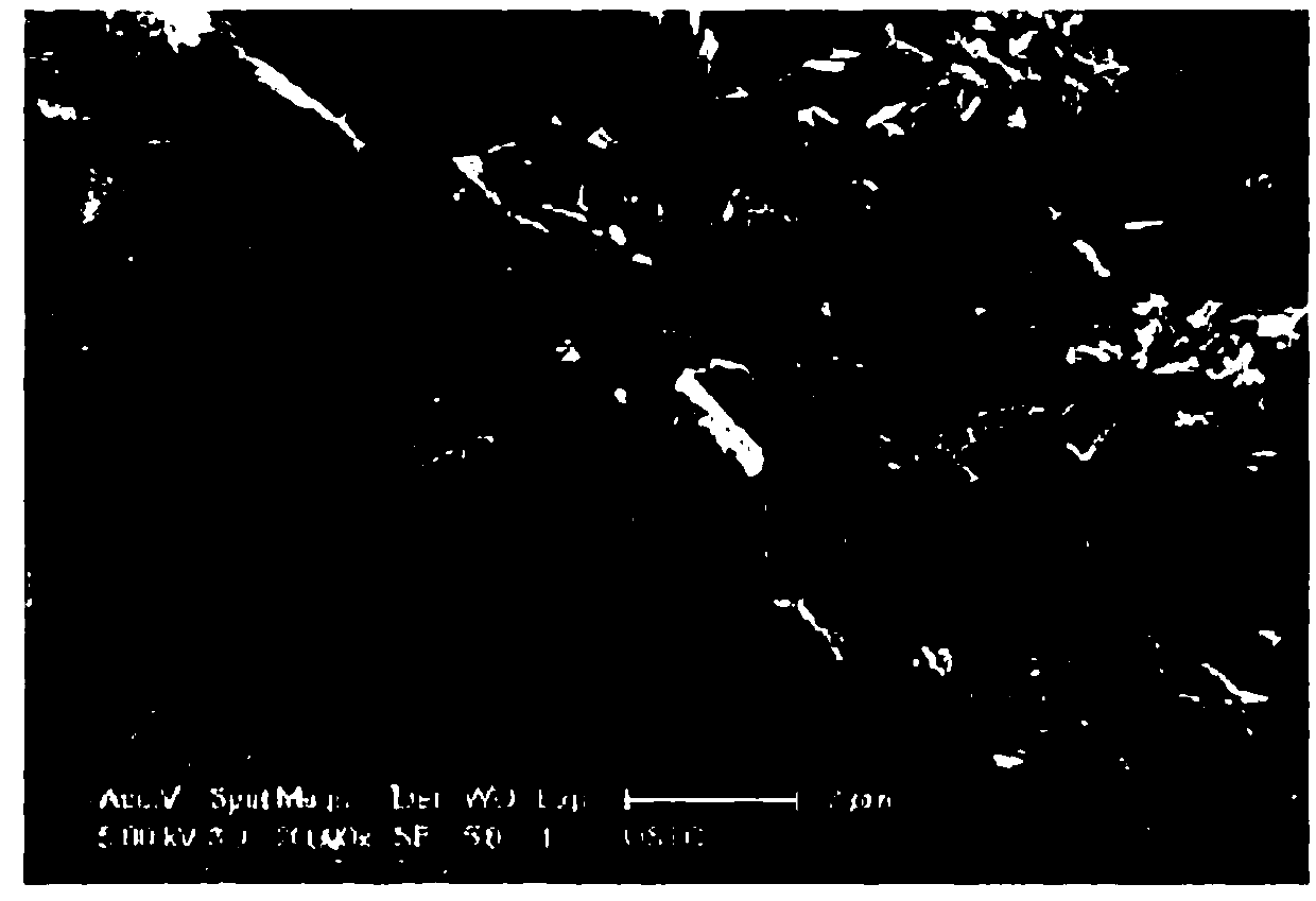 Thermoplastic resin composition and preparation method and application thereof