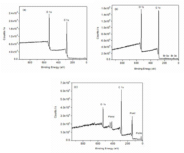 Preparation method for surface-grafted polyacrylic acid lead polyester film