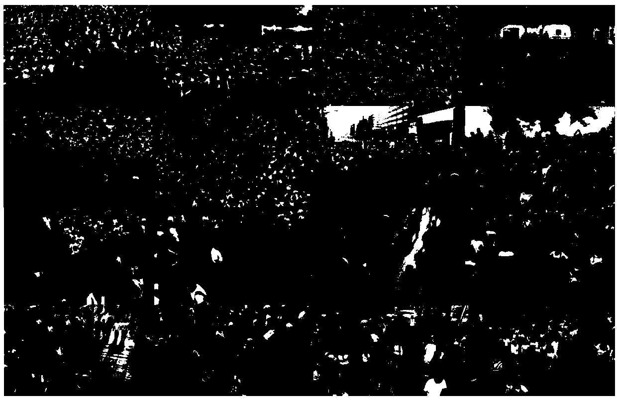 Generalized density crowd counting method based on multi-scale depth learning