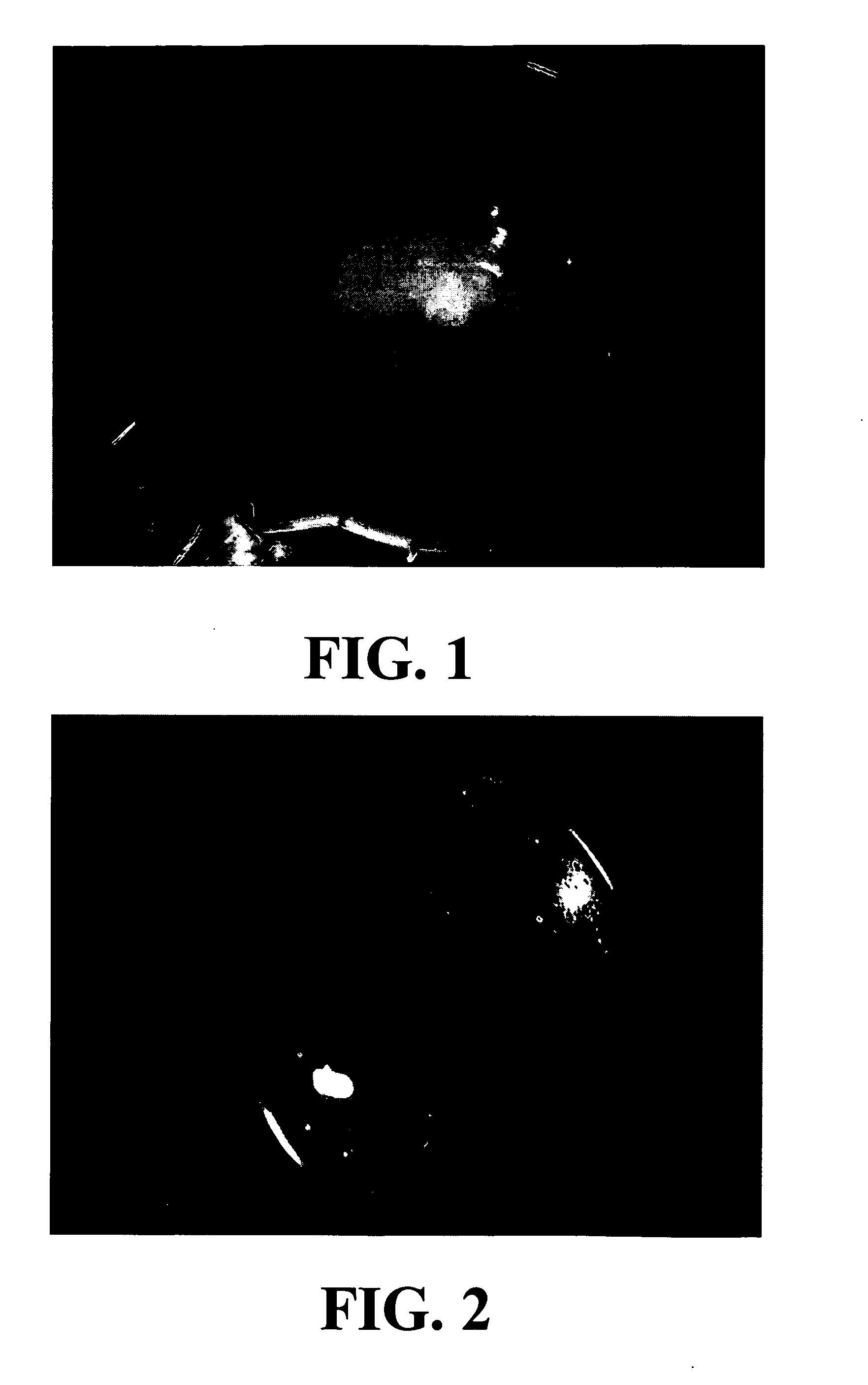 Sand aggregating reagents, modified sands, and methods for making and using same