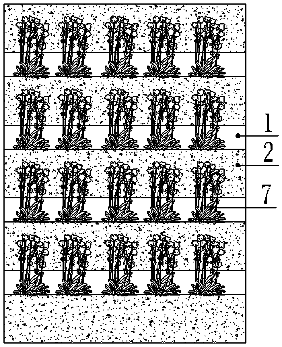 Prefabricated assembly type plant wall