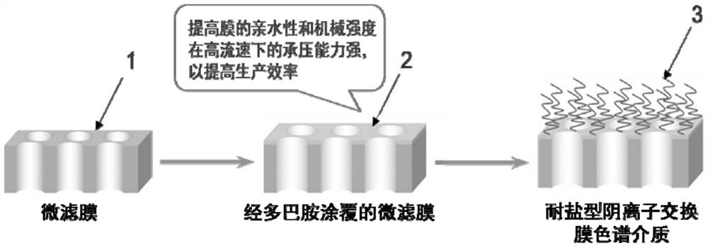 A kind of salt-tolerant anion exchange membrane chromatographic medium and its preparation method and application