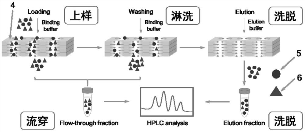 A kind of salt-tolerant anion exchange membrane chromatographic medium and its preparation method and application