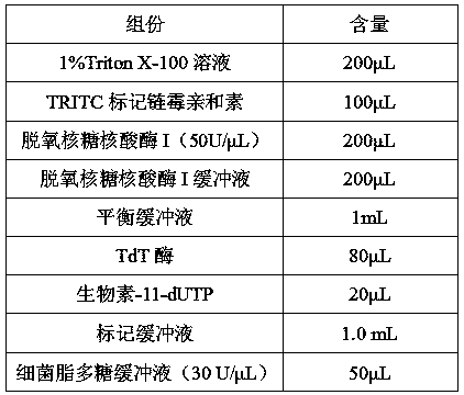 Apoptosis kit applied to circulating tumor cell detection and detection method thereof