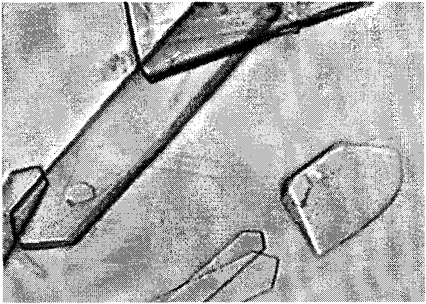 5'-guanosine-disodium phosphate crystallizing method