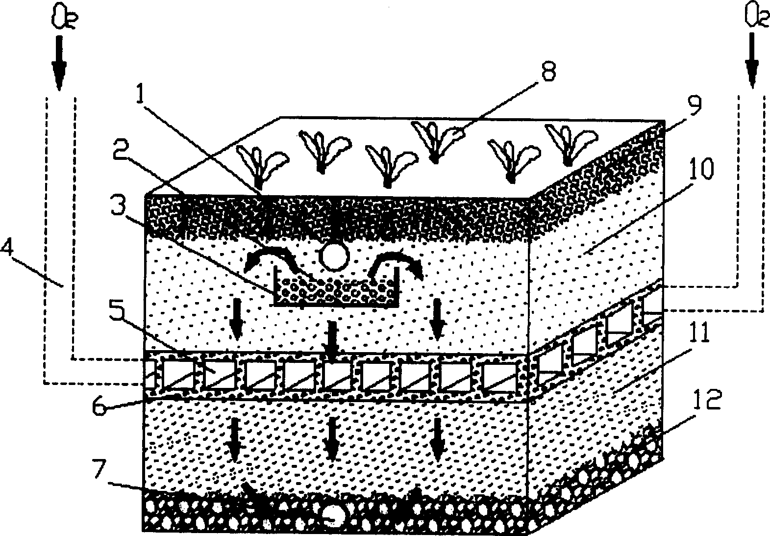 Waste water cryogenic treating apparatus for eliminating phosphor-removing ventilating layer