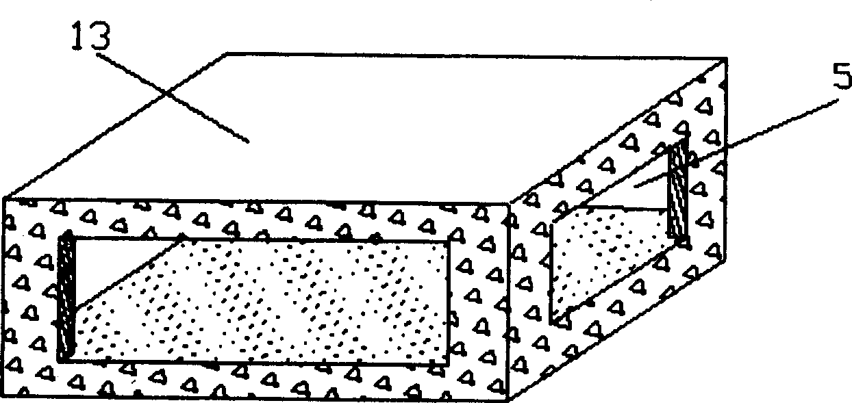 Waste water cryogenic treating apparatus for eliminating phosphor-removing ventilating layer