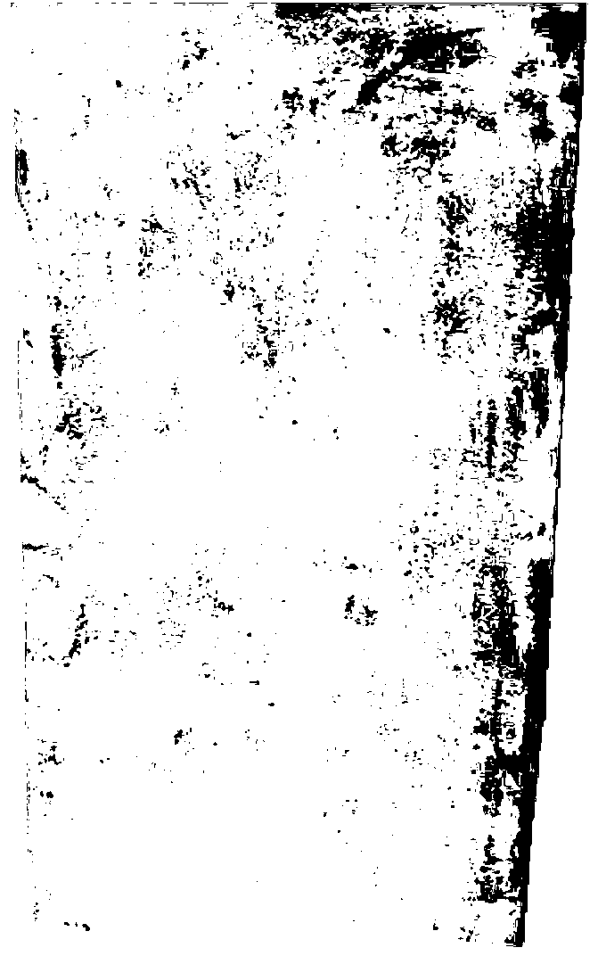 Preparation method and mold for microdefect high-utilization rate high-quality static ingot