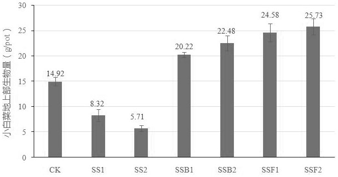 Black and odorous water body bottom mud resource utilization treatment method