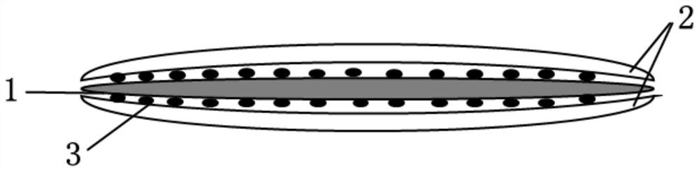 Biological material based on amniotic basement membrane, preparation method and application thereof