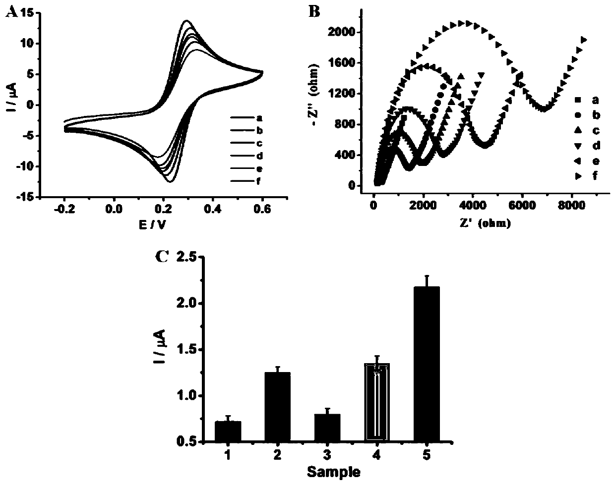 Micro RNA detection method based on one-step triggered branched DNA nanostructure