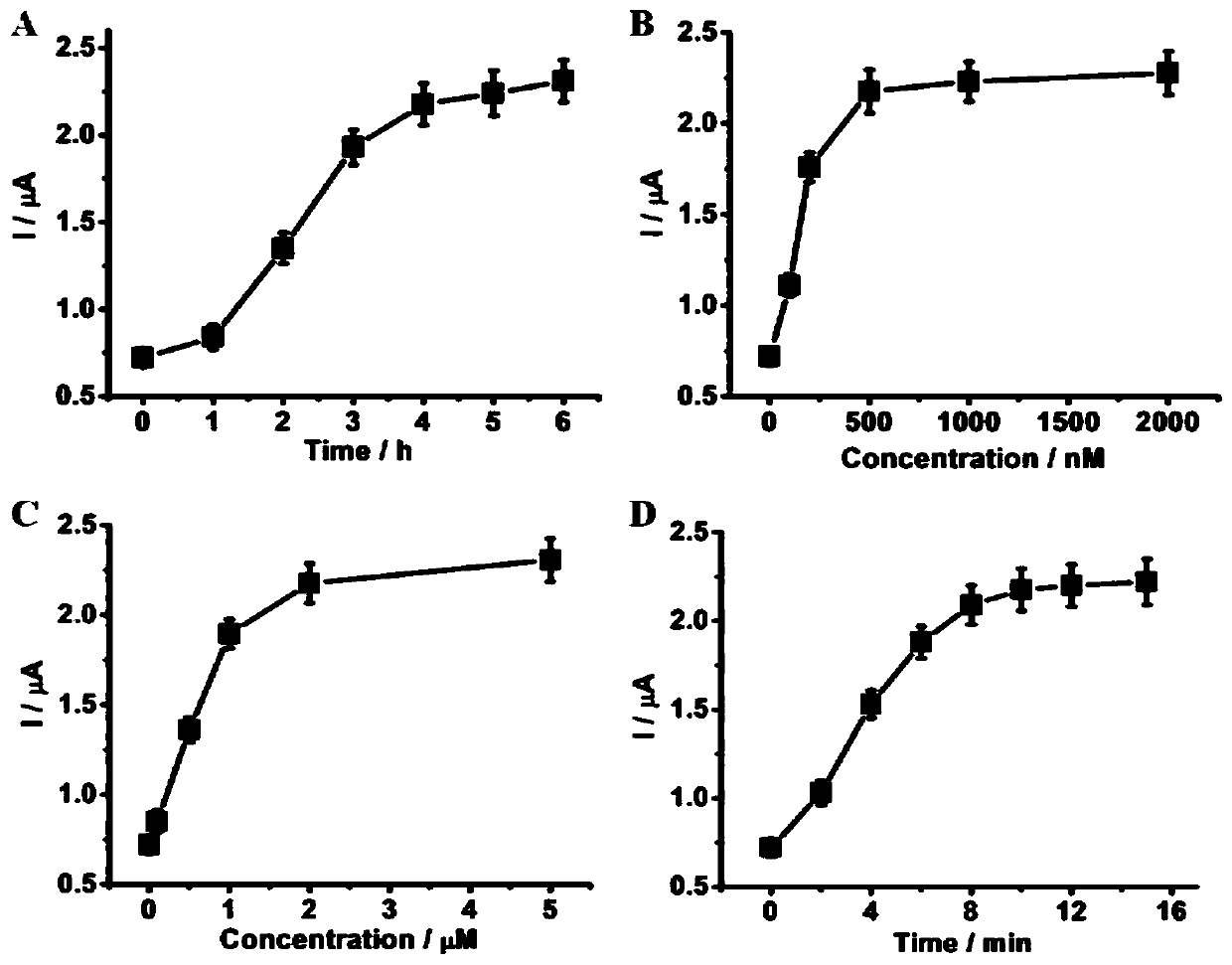 Micro RNA detection method based on one-step triggered branched DNA nanostructure