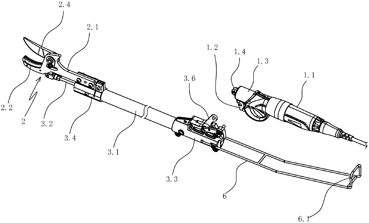 Electrical high-branch shears