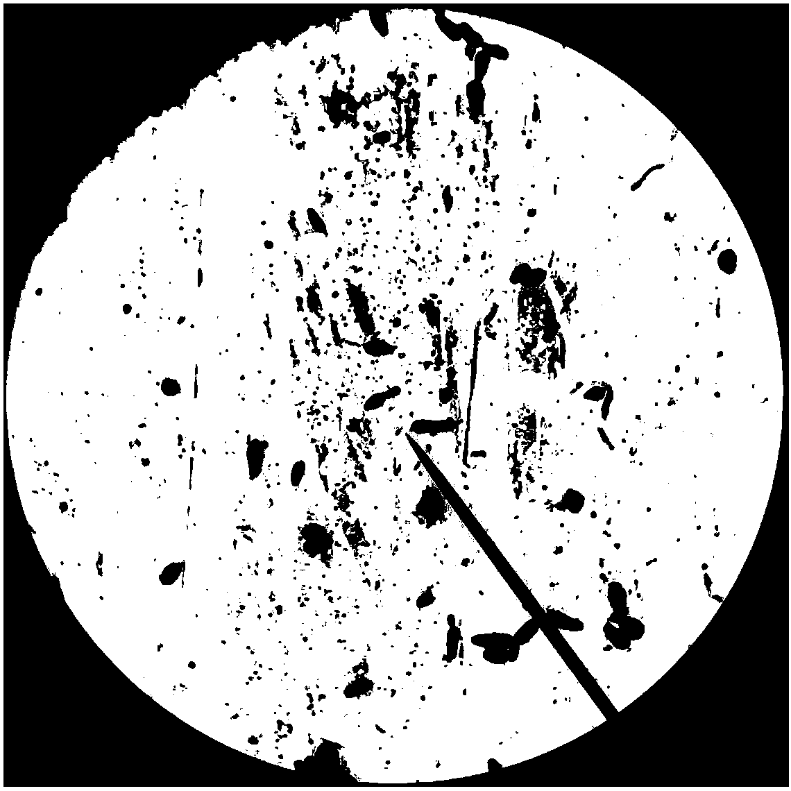 Bacillus aryabhattai GH-9 and application thereof