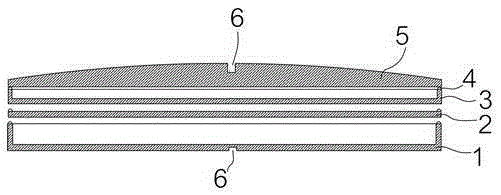 Miniature implanted medical detection device coated with anticorrosion coating