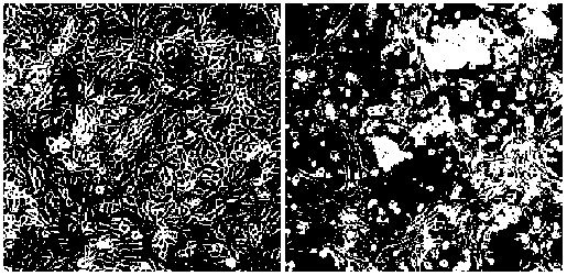 Porcine epidemic diarrhea, porcine deltacoronavirus dual inactivated vaccine and preparation method thereof