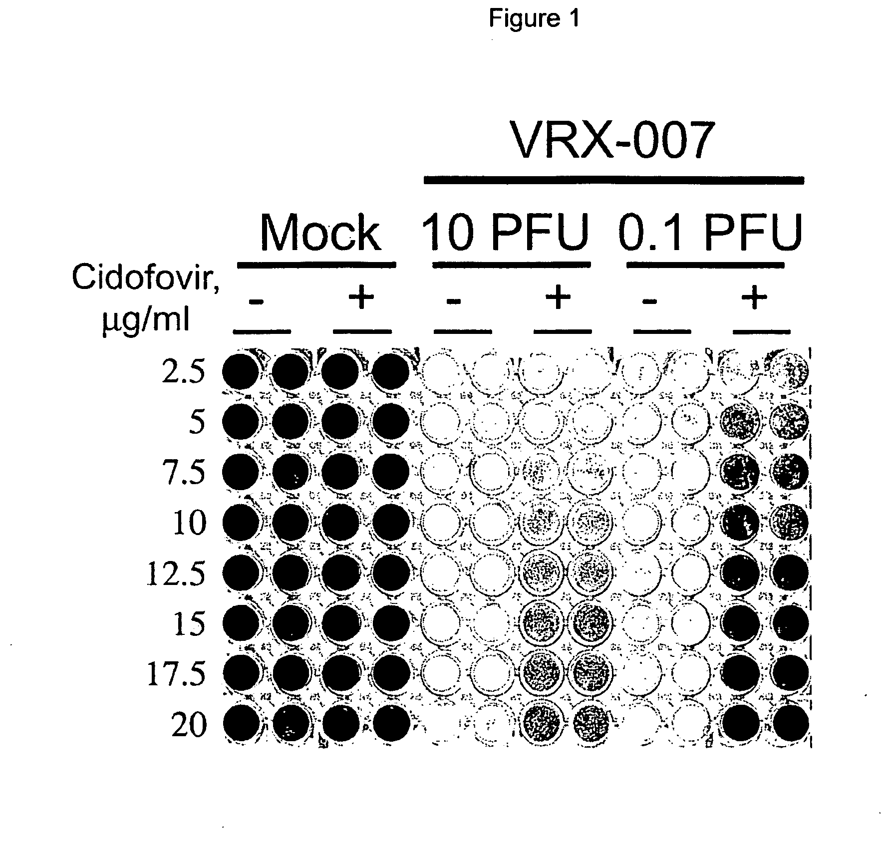 Screening tool for antiviral agents