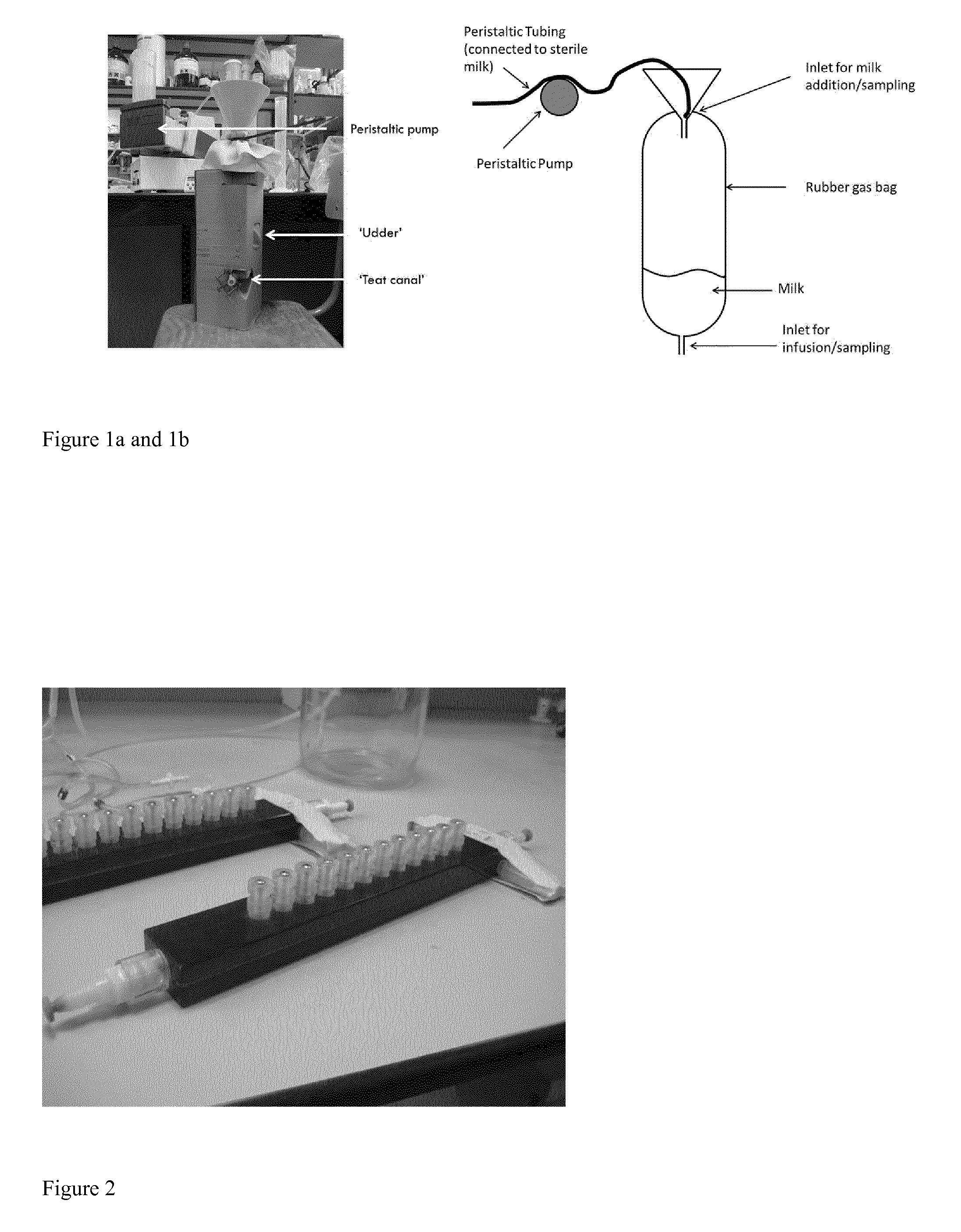 Antimicrobial compositions and methods for their production