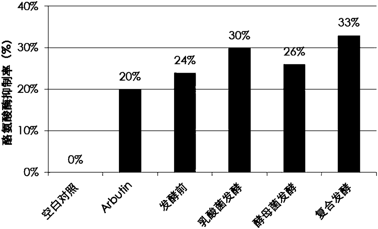 Ginseng flower composite fermentation product, preparation method and application thereof