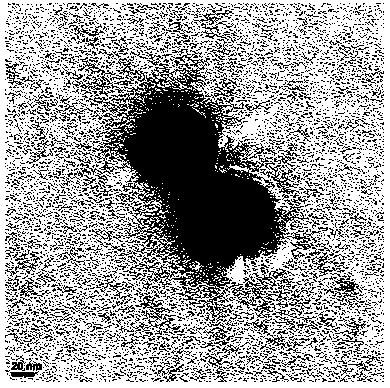 Method for preparing nano zinc oxide