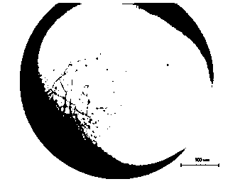 Method for Avoiding Cracking of Polystyrene Hollow Microspheres in Drying Process