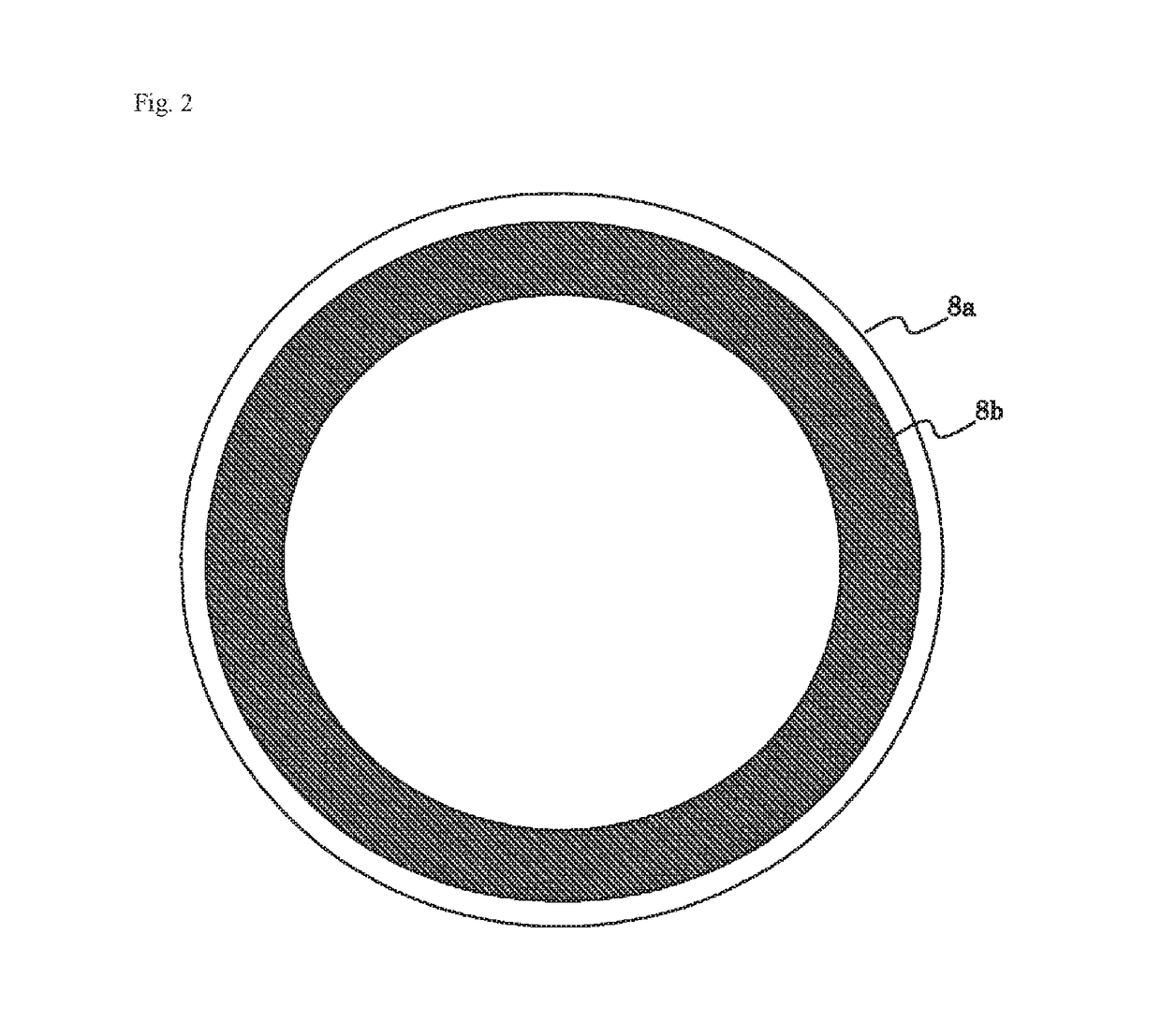 Lighting device, projector, display system, and light source adjustment method