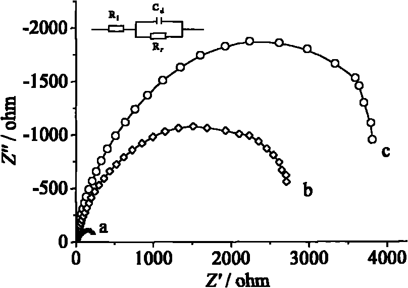 Bipolar membrane and preparation method thereof