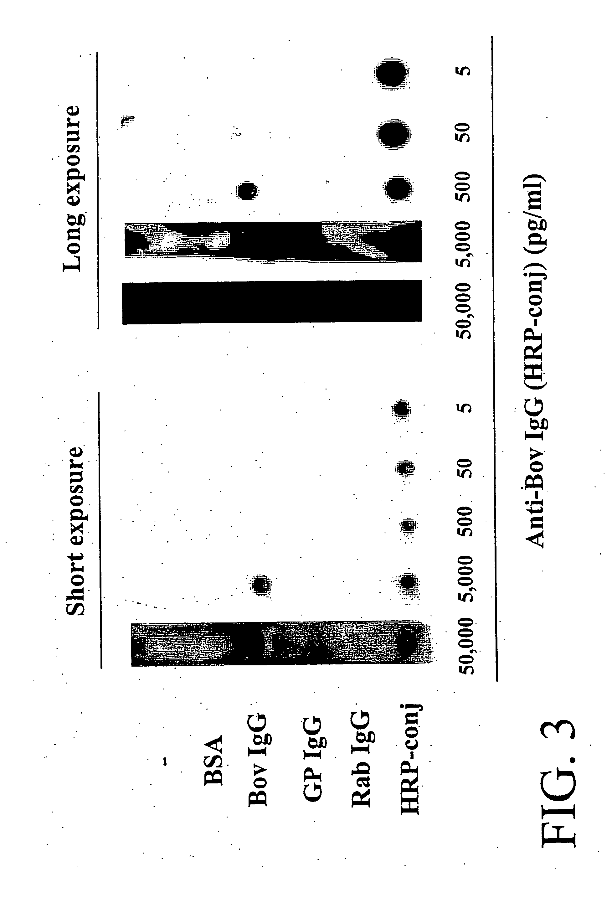 Antibody-based protein array system