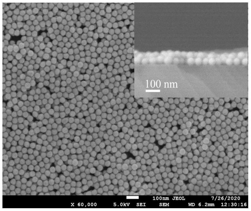 Ultra-sensitive biochip based on surface enhanced Raman scattering and preparation method thereof