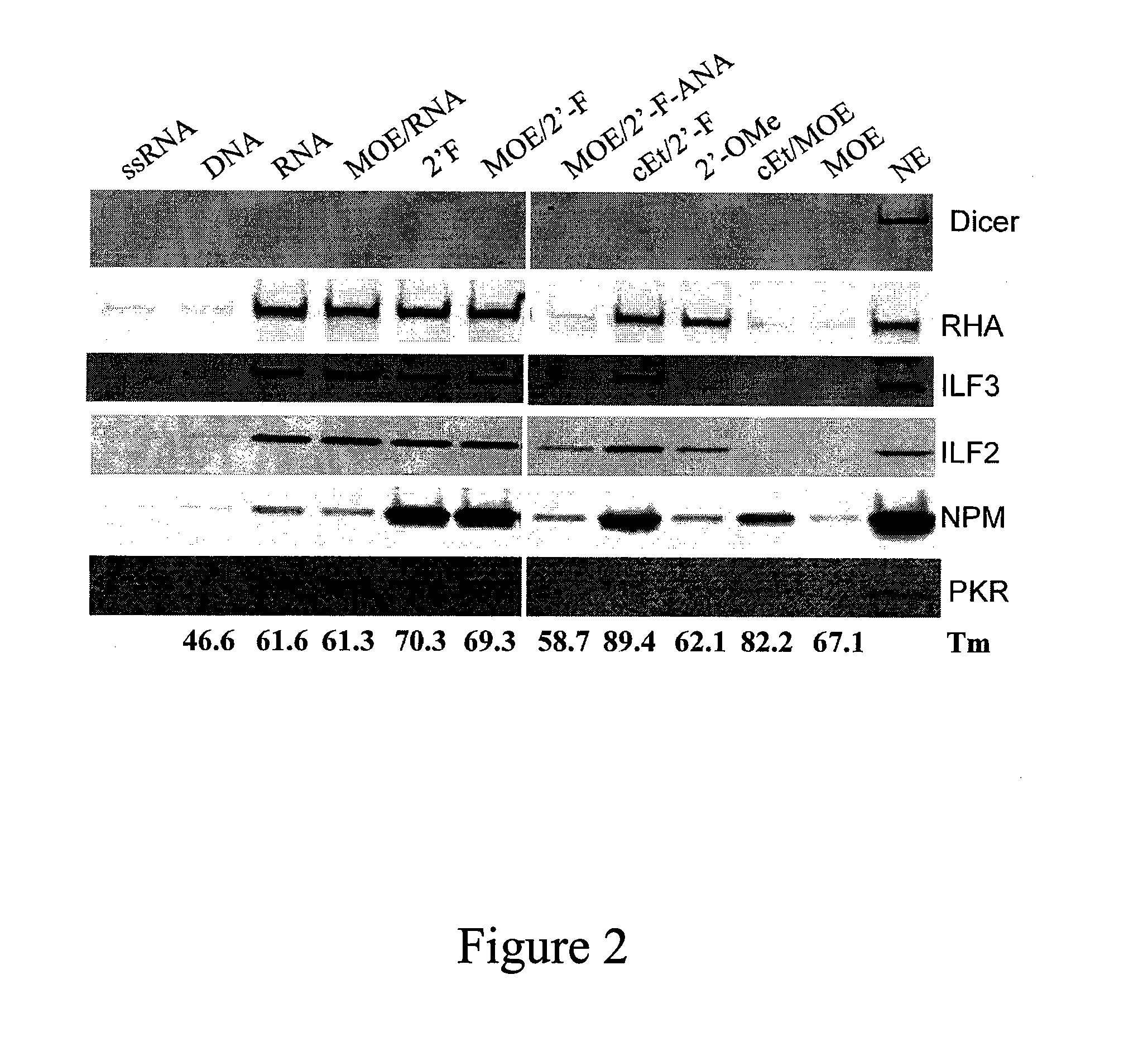 Compounds and methods for modulating interaction between proteins and target nucleic acids