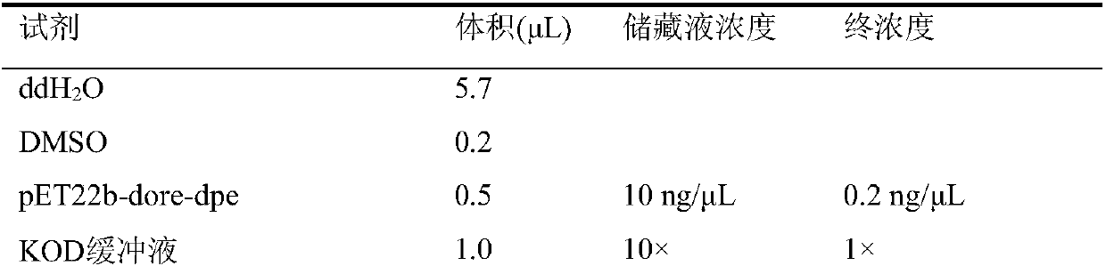 D-psicose 3-epimerase mutant with improved catalytic efficiency